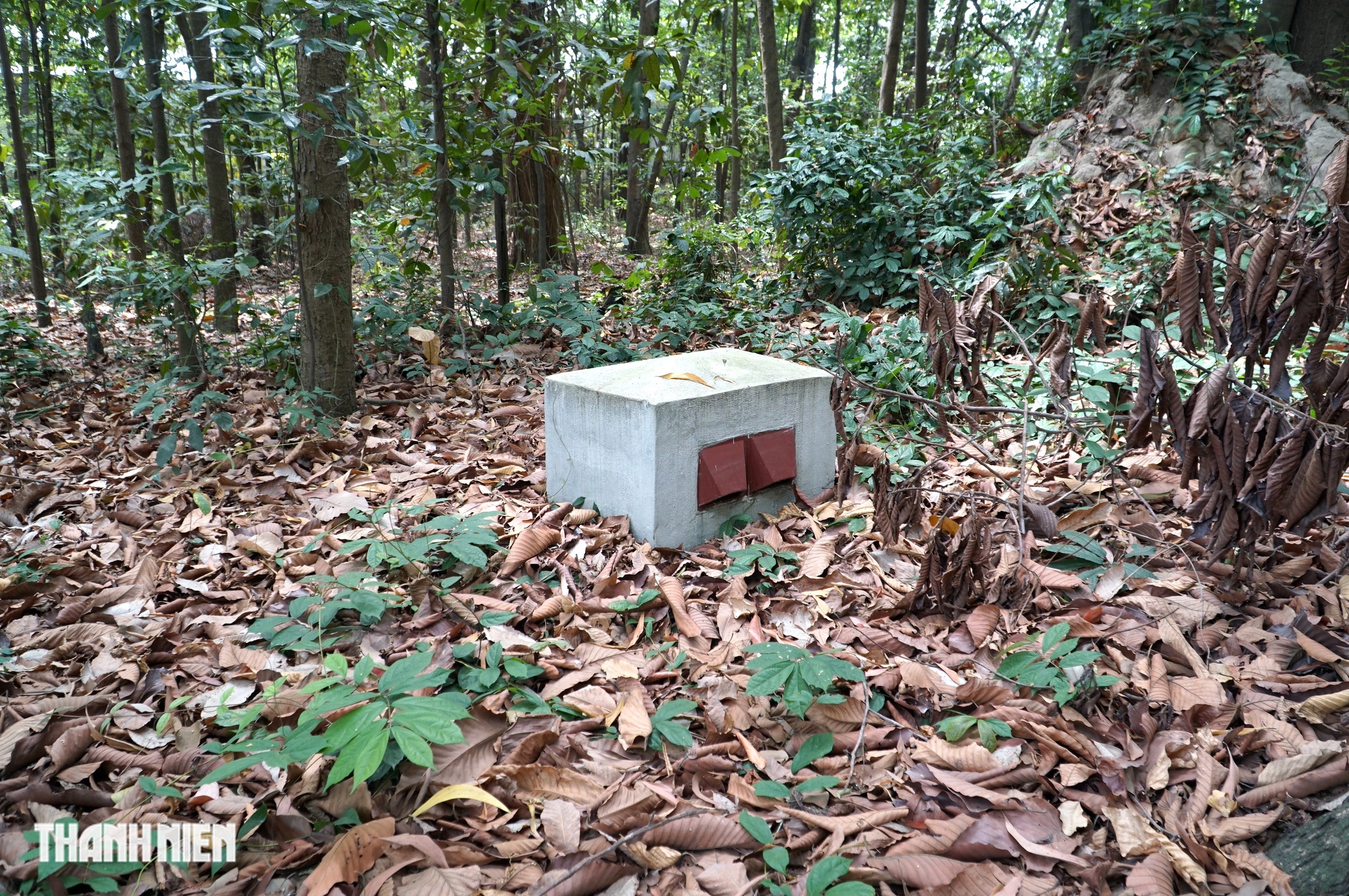 Ngoài Củ Chi, ở TP.Thủ Đức từng có hầm bí mật dài 5 km dưới đình cổ - Ảnh 14.