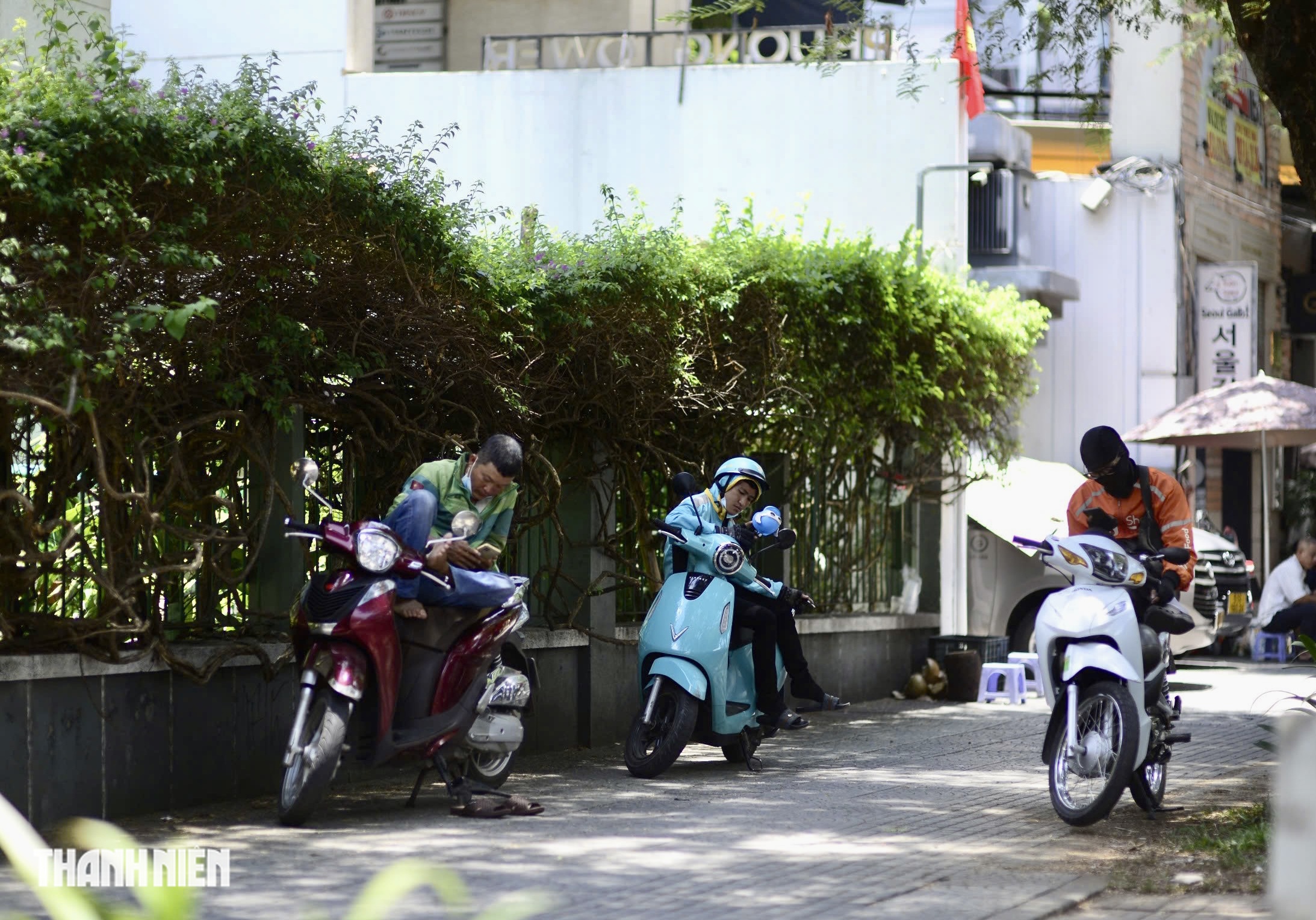 Nắng nóng đỉnh điểm ở TP.HCM: 'Giải nhiệt' miễn phí dưới bóng cây xanh - Ảnh 7.