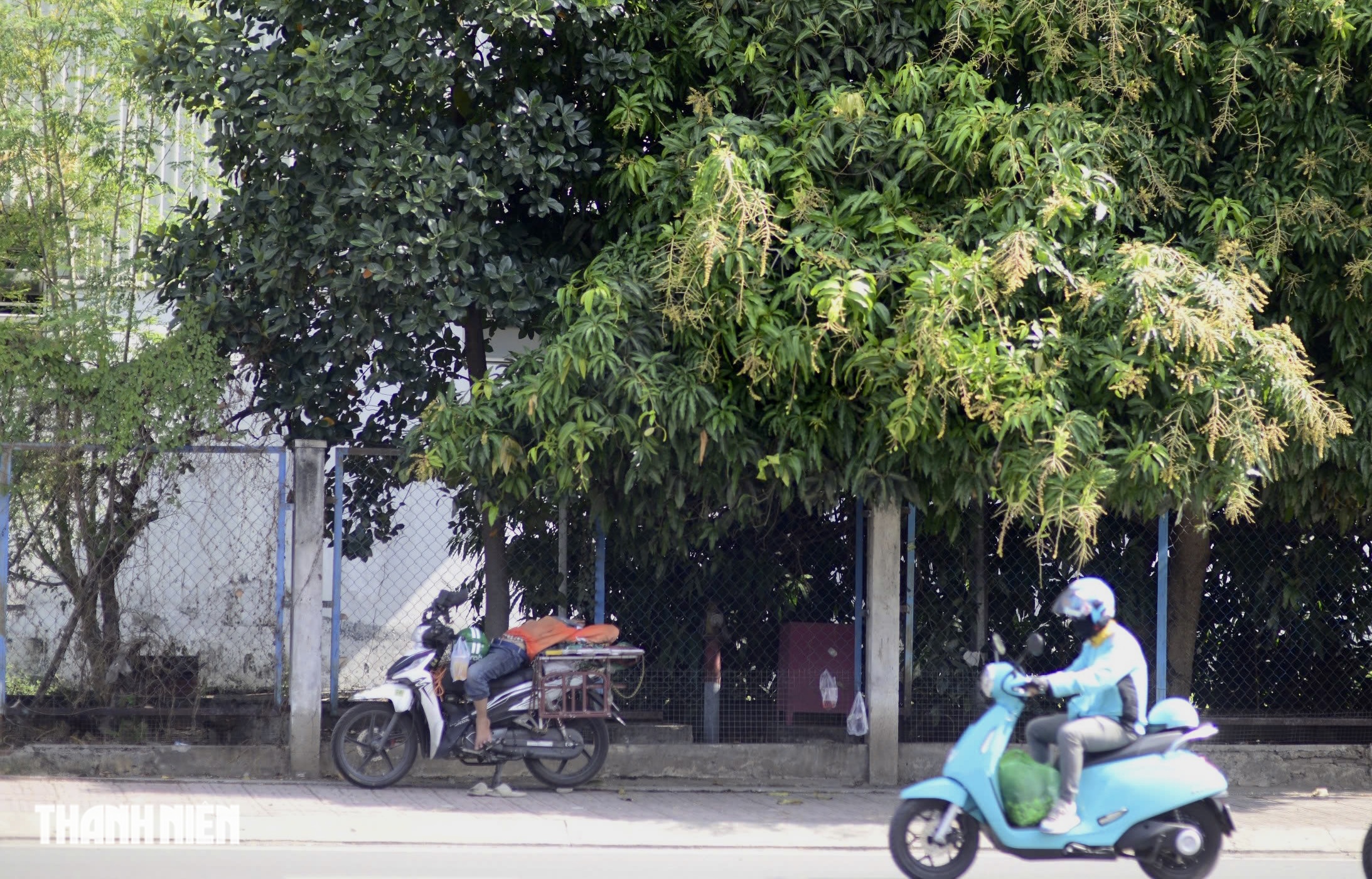 Nắng nóng đỉnh điểm ở TP.HCM: 'Giải nhiệt' miễn phí dưới bóng cây xanh - Ảnh 6.