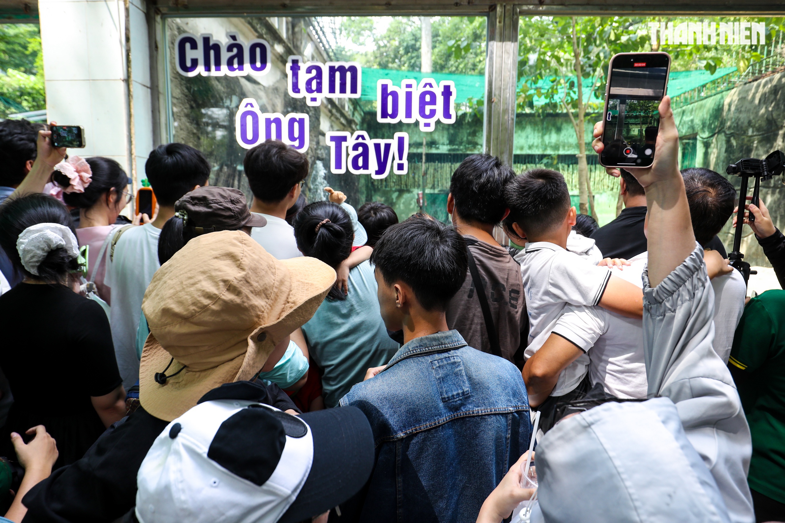 Thảo Cầm Viên mừng sinh nhật 2 tuổi cặp hổ tên Bình - Dương, chia tay 'ông' Tây- Ảnh 12.