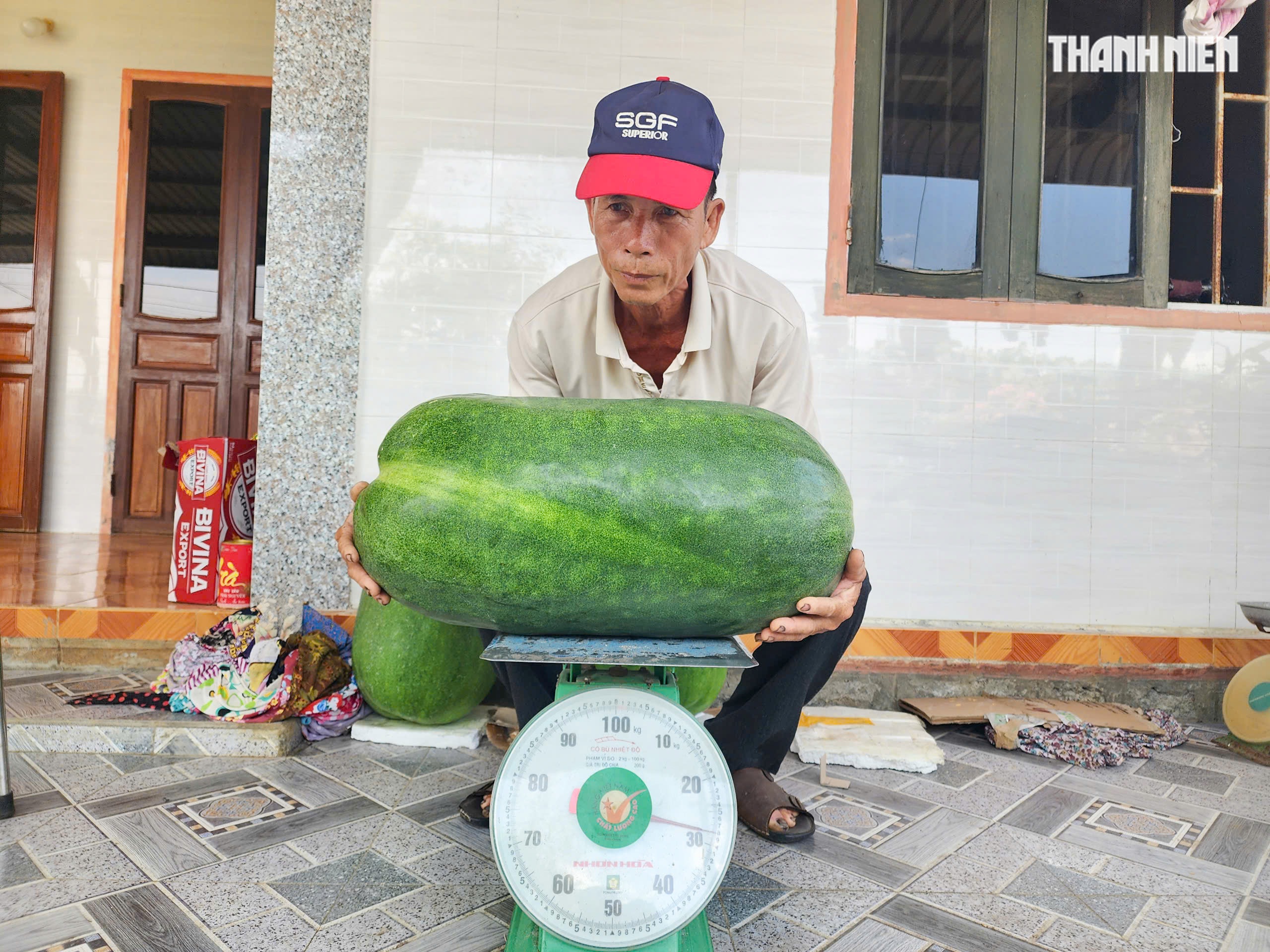 Độc đáo 'mắc võng' cho bí đao khổng lồ tựa lưng- Ảnh 10. Độc đáo 'mắc võng' cho bí đao khổng lồ tựa lưng- Ảnh 10.