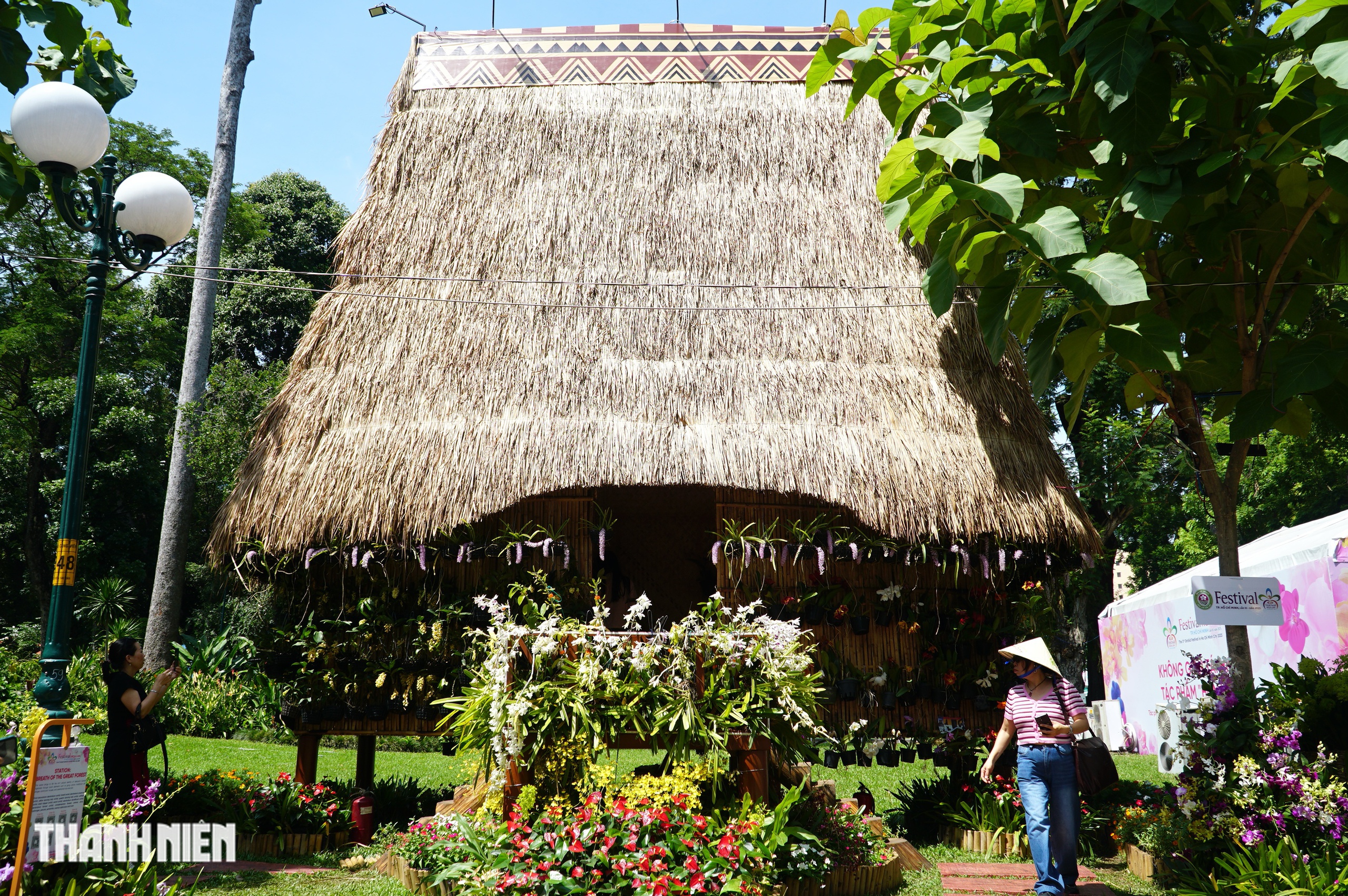 Có một ‘rừng hoa lan’ đang nở rộ giữa nắng hè ở trung tâm TP.HCM - Ảnh 12.
