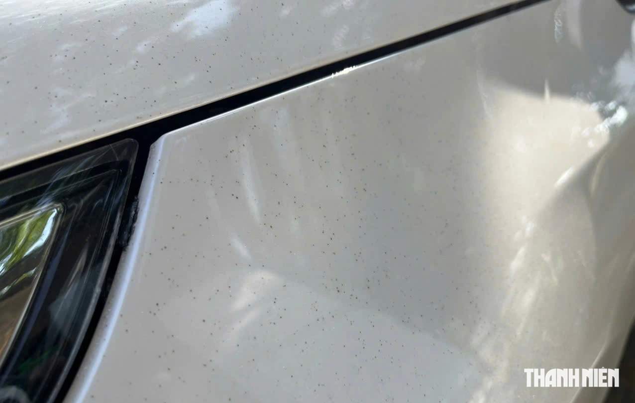 Mẹo tẩy nhựa cây ô tô hiệu quả giúp xe luôn sạch đẹp - Ảnh 1. Mẹo tẩy nhựa cây ô tô hiệu quả giúp xe luôn sạch đẹp - Ảnh 1.