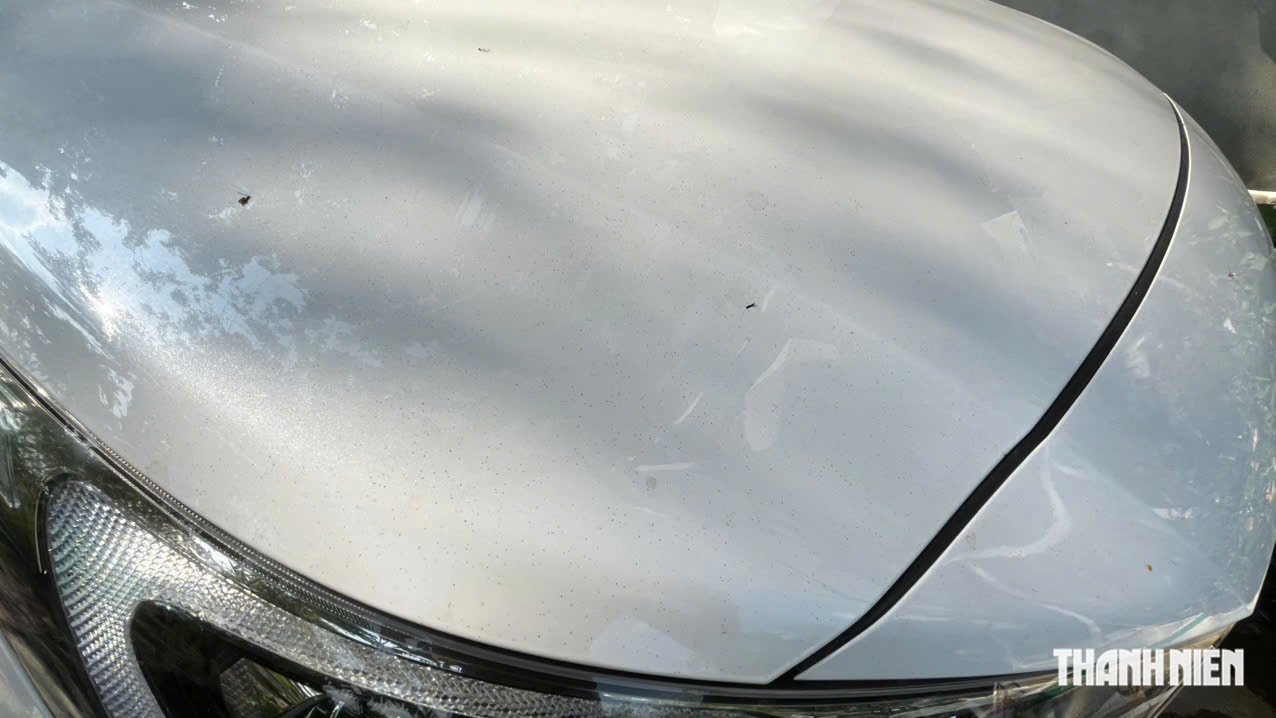 Mẹo tẩy nhựa cây ô tô hiệu quả giúp xe luôn sạch đẹp - Ảnh 2. Mẹo tẩy nhựa cây ô tô hiệu quả giúp xe luôn sạch đẹp - Ảnh 2.