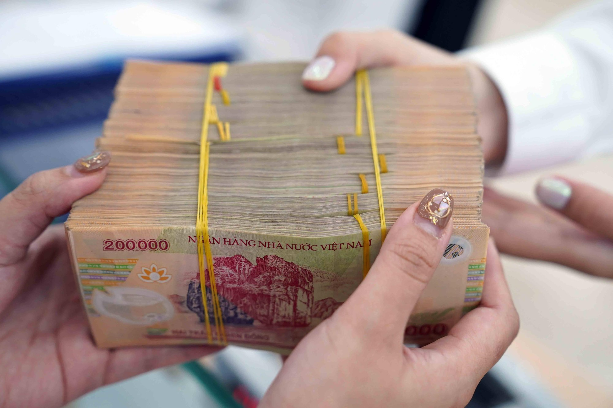Cổ đông Novaland, Vinhomes sắp được chia cổ tức- Ảnh 1. Cổ đông Novaland, Vinhomes sắp được chia cổ tức- Ảnh 1.