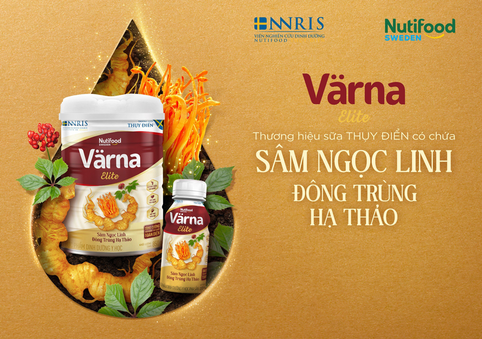 Lên đỉnh núi Ngọc Linh thăm “Quốc bảo Việt Nam” - Ảnh 10. Lên đỉnh núi Ngọc Linh thăm “Quốc bảo Việt Nam” - Ảnh 10.