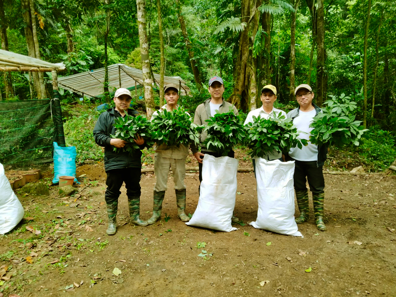 Lên đỉnh núi Ngọc Linh thăm “Quốc bảo Việt Nam” - Ảnh 9. Lên đỉnh núi Ngọc Linh thăm “Quốc bảo Việt Nam” - Ảnh 9.