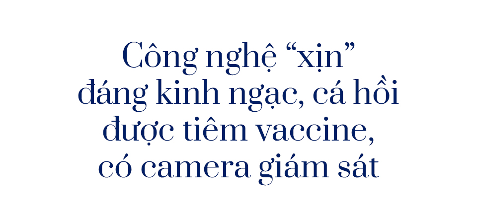 người Na Uy nuôi cá hồi