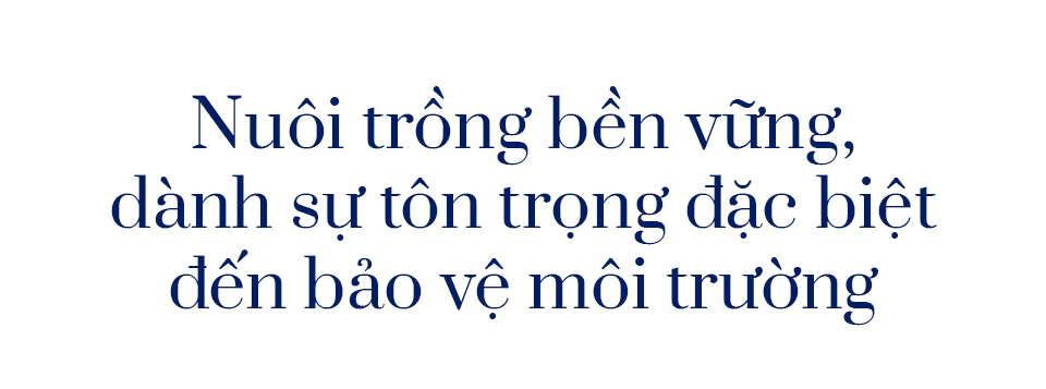 Xem người Na Uy nuôi cá hồi ngon hàng đầu thế giới - Ảnh 5.