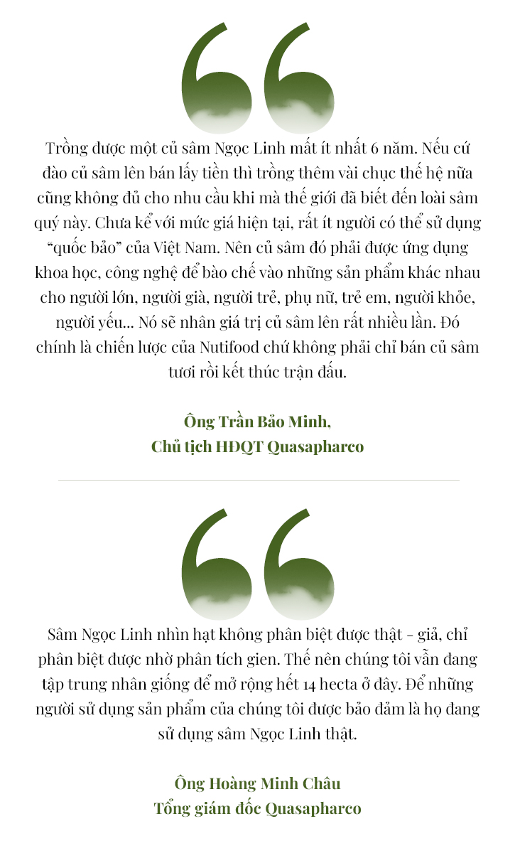 Lên đỉnh núi Ngọc Linh thăm 'Quốc bảo Việt Nam' - Ảnh 11.