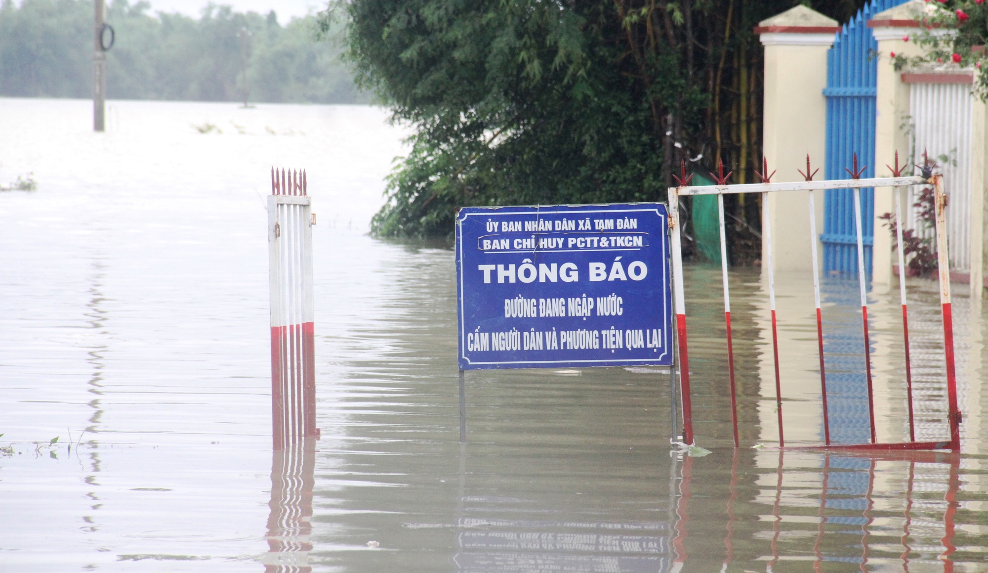 Quảng Nam: Nhiều nơi chìm trong biển nước, dân dùng ghe đi lại - Ảnh 17.
