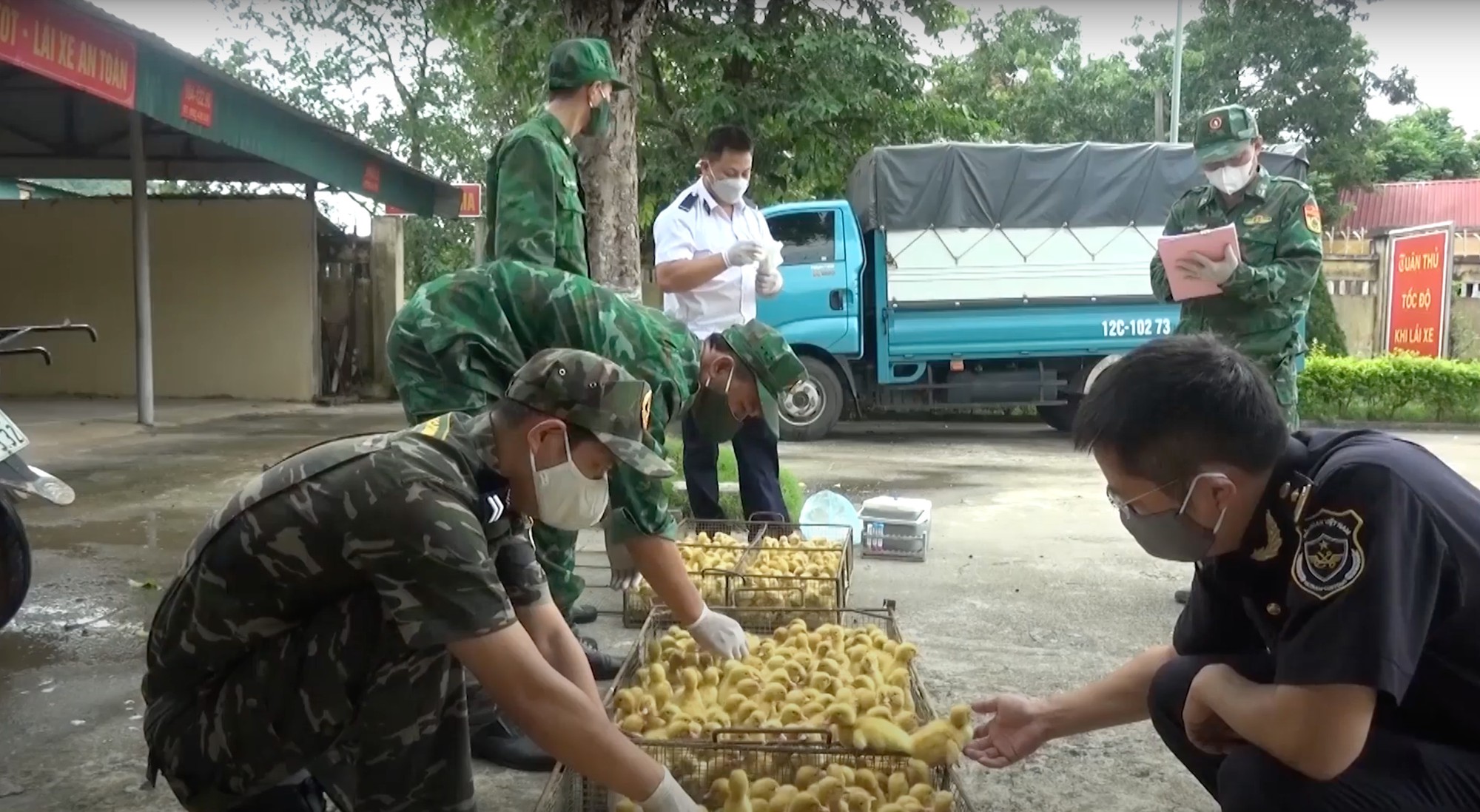 Ngăn chặn gia súc, gia cầm nhập lậu 'kiểu đá ném ao bèo thì không ăn thua' - Ảnh 3. Ngăn chặn gia súc, gia cầm nhập lậu 'kiểu đá ném ao bèo thì không ăn thua' - Ảnh 3.