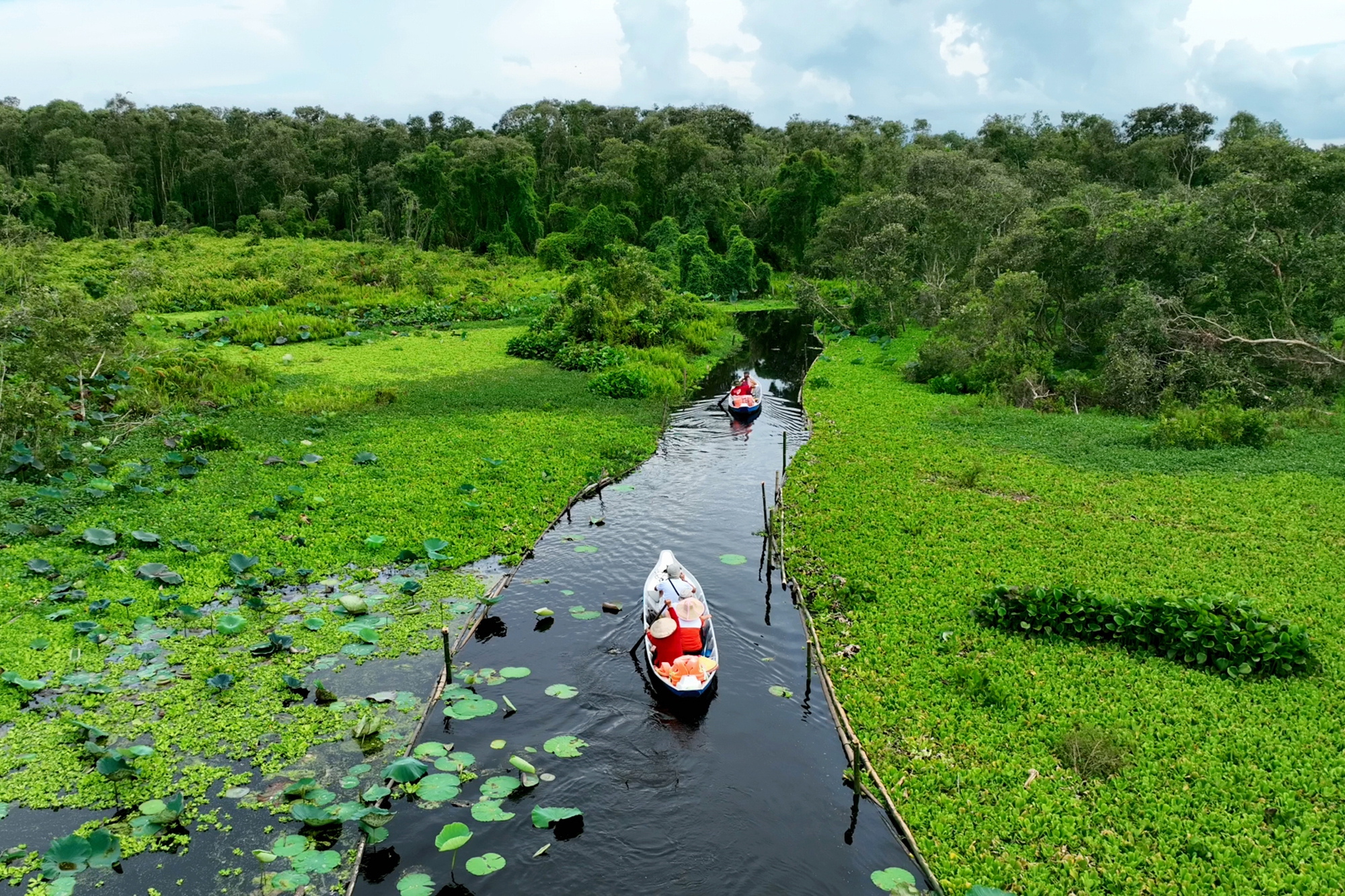 Image hình ảnh hình ảnh hình ảnh Phương Nam - Ngắm rừng tràm Trà Sư, bối cảnh trong phim 'Đất rừng phương Nam'