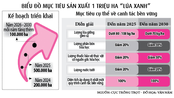 Tăng lợi nhuận nhờ trồng &quot;lúa xanh&quot; - Ảnh 4.