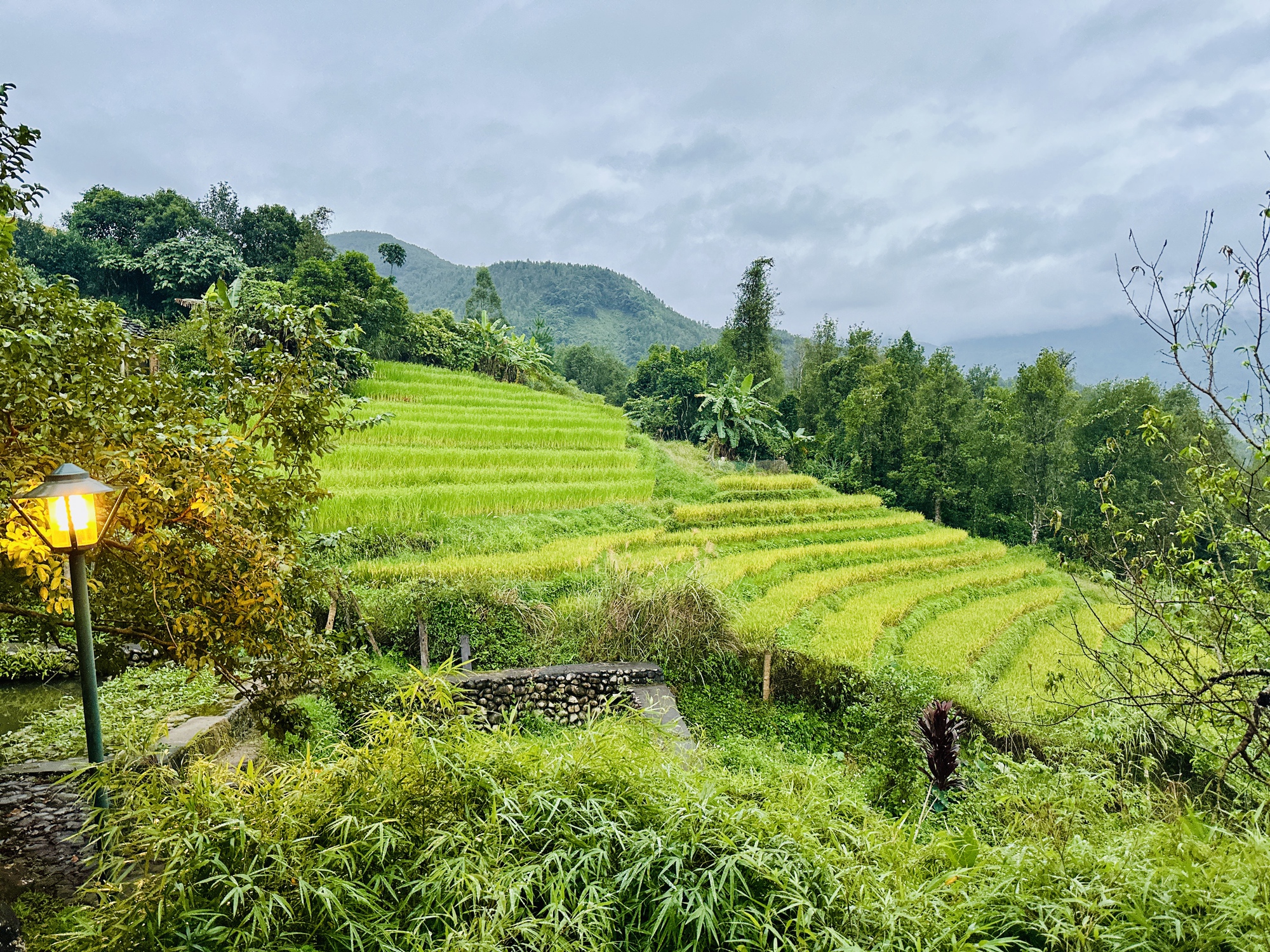 Du khách đổ xô về Bình Liêu trải nghiệm lễ hội mùa vàng - Ảnh 2.