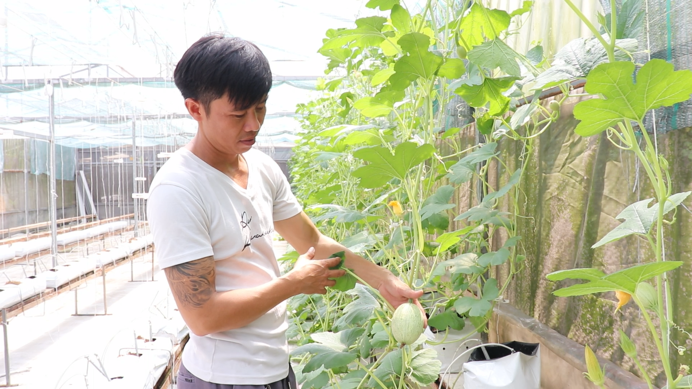 Từ công nhân xuất khẩu lao động thành ông chủ trại rau thủy canh công nghệ cao - Ảnh 5. Từ công nhân xuất khẩu lao động thành ông chủ trại rau thủy canh công nghệ cao - Ảnh 5.