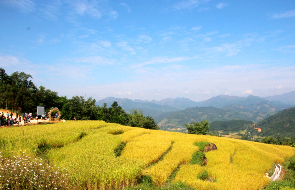 Ruộng bậc thang Bình Liêu khiến du khách mê say - Ảnh 2. Ruộng bậc thang Bình Liêu khiến du khách mê say - Ảnh 2.
