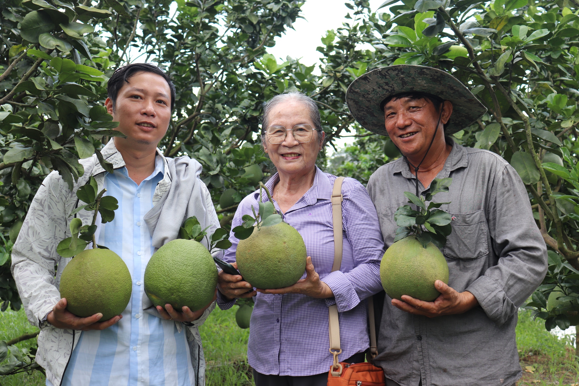 Trồng bưởi da xanh trên đất nhiễm phèn, nông dân huyện Bình Chánh thu về tiền tỉ - Ảnh 3.