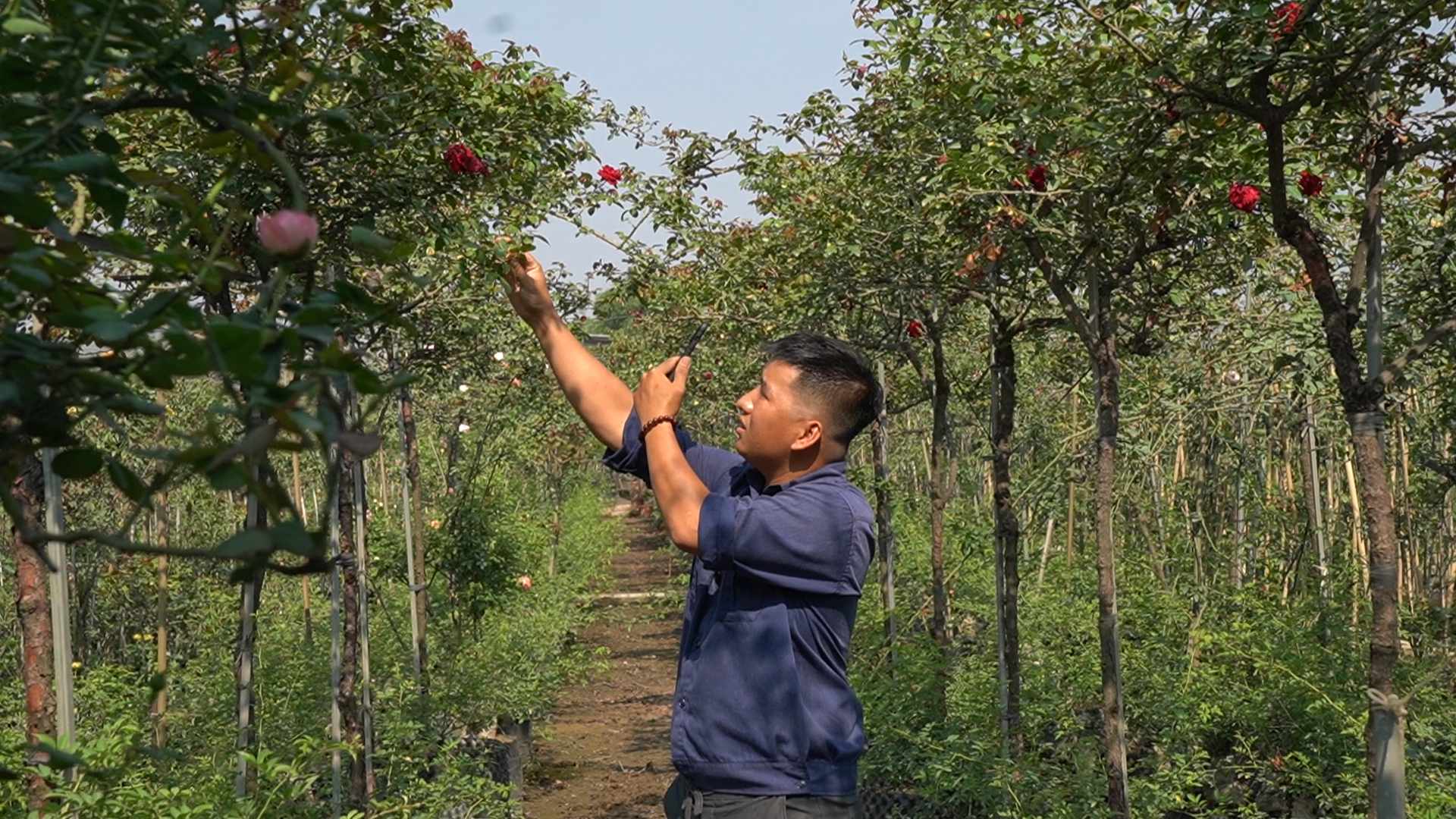 Chàng nông dân 9X kiếm bộn tiền nhờ tận dụng mạng xã hội quảng bá hoa hồng - Ảnh 3.