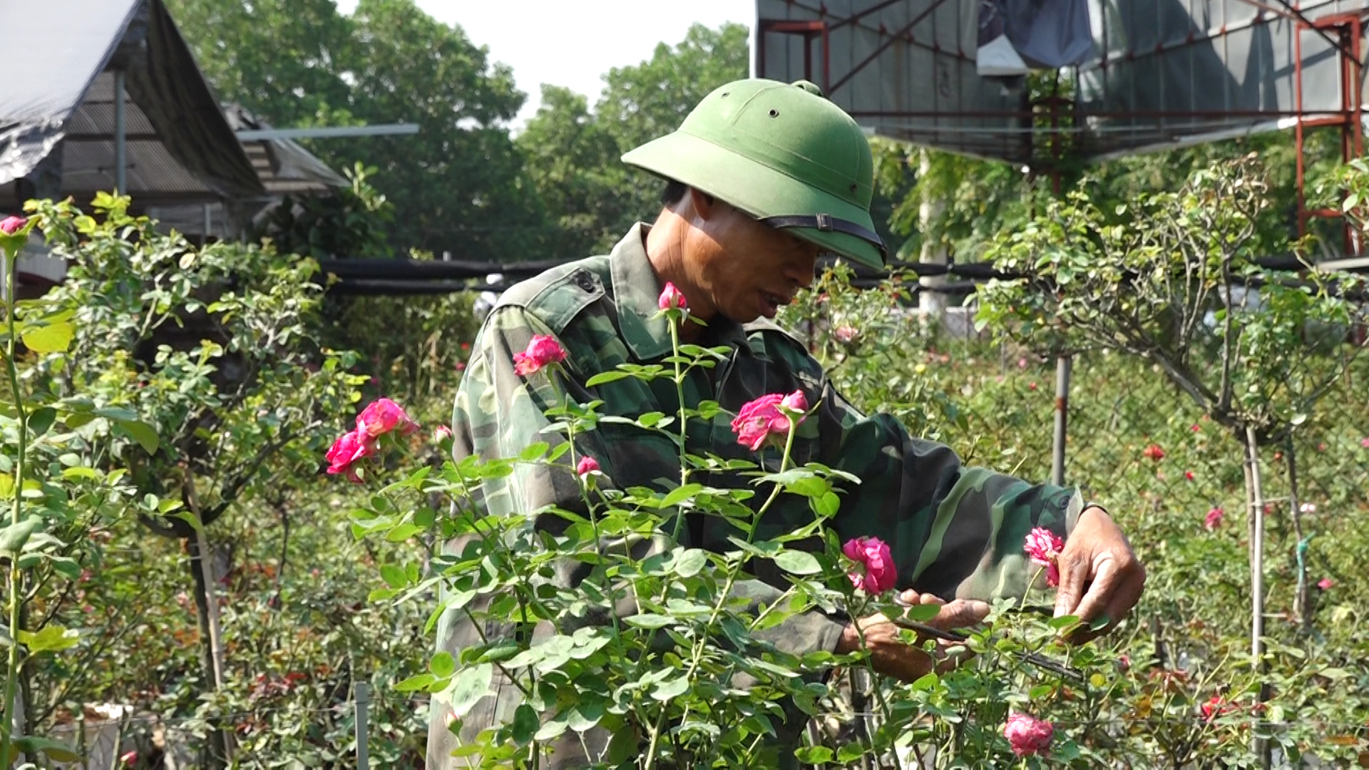 Chàng nông dân 9X kiếm bộn tiền nhờ tận dụng mạng xã hội quảng bá hoa hồng - Ảnh 4.