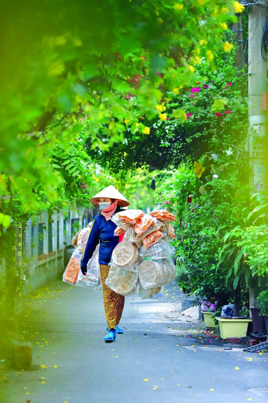 روح شرق: آن کوچه قدیمی الان کجاست؟ - عکس ۲. Hào khí miền Đông: Con hẻm xưa ấy nay đâu? - Ảnh 2.