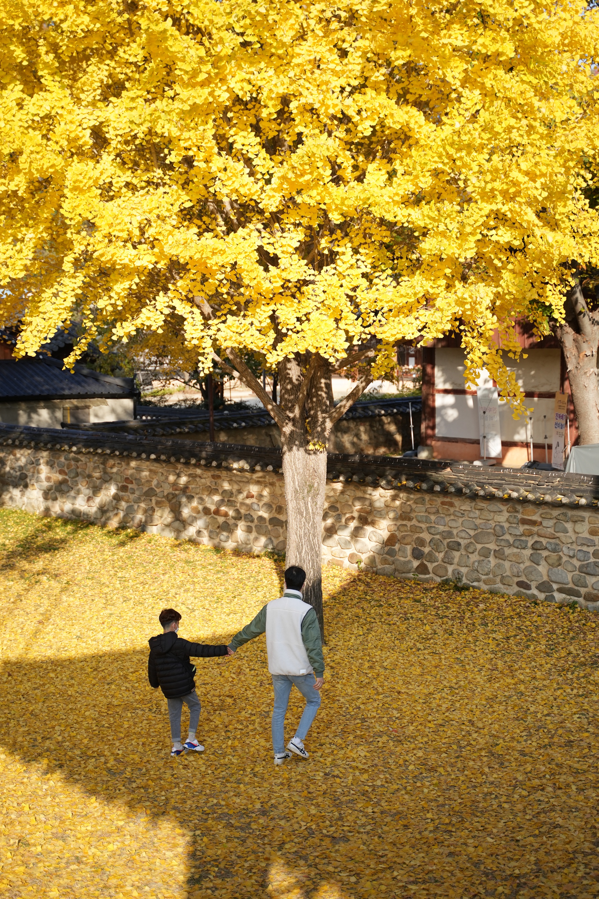 Mùa thu đẹp nao lòng ở làng cổ trăm năm tuổi của Hàn Quốc - Ảnh 8.