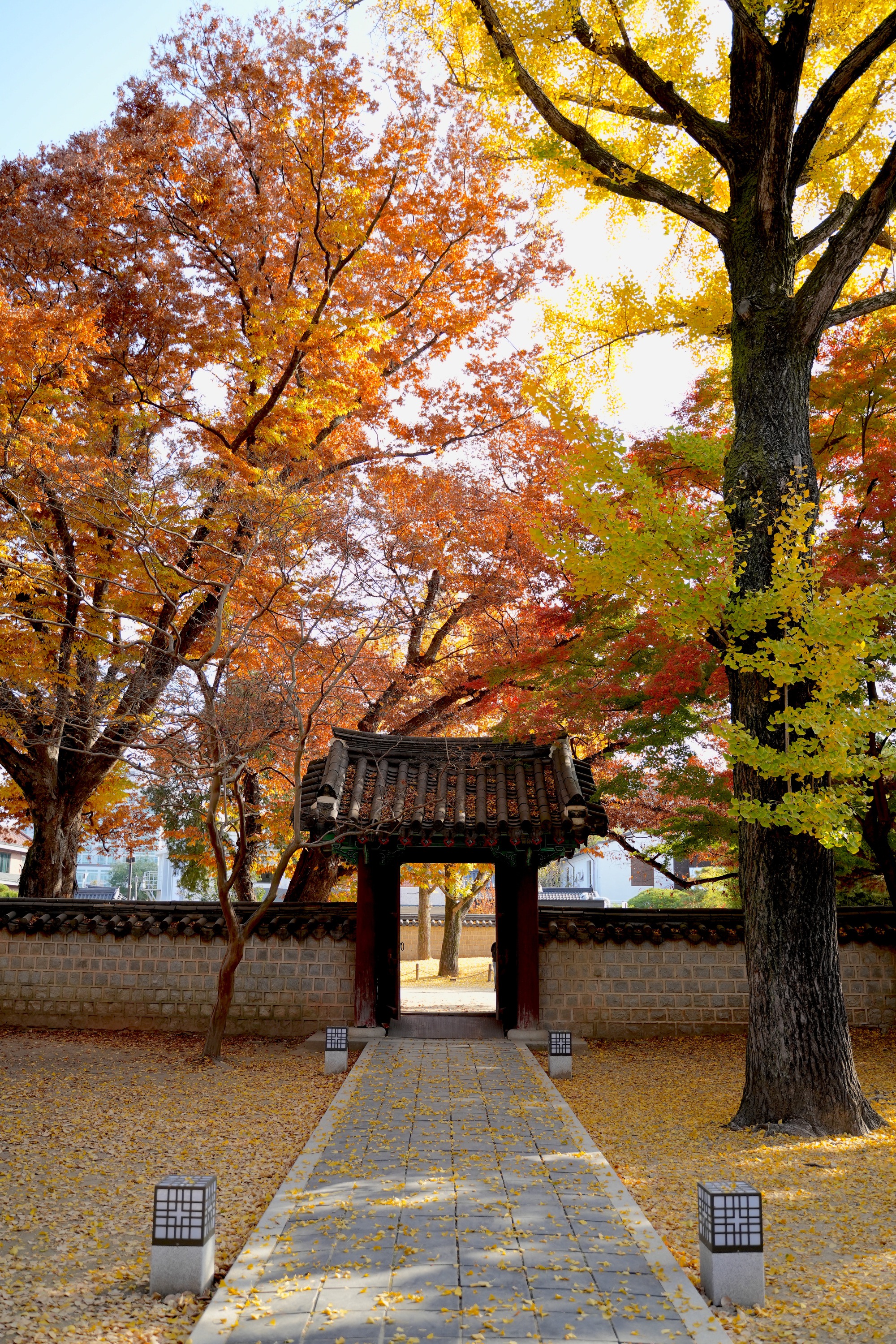 Mùa thu đẹp nao lòng ở làng cổ trăm năm tuổi của Hàn Quốc - Ảnh 7.