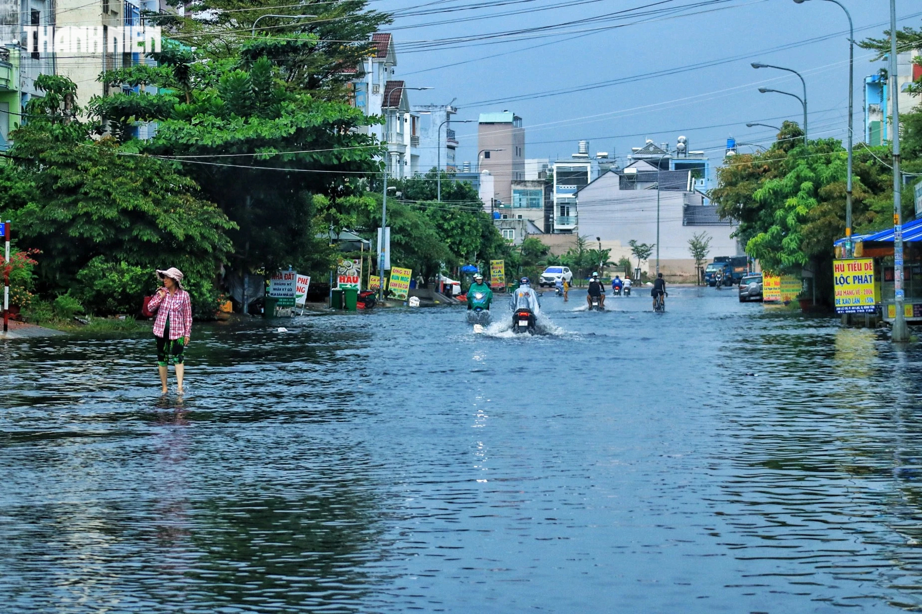 Cuối tuần, TP.HCM có mưa to: Cây bật gốc đổ ra đường, đường phố mênh mông nước - Ảnh 4.