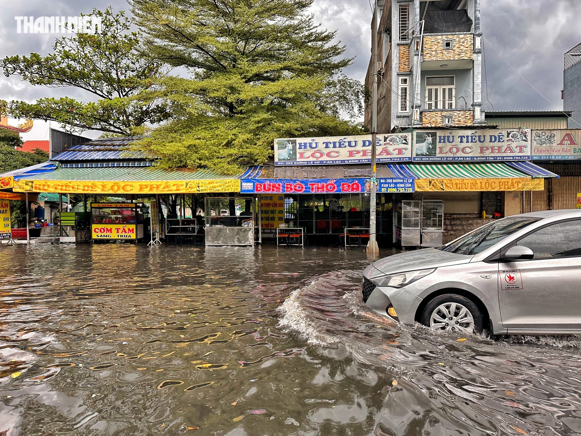 Cuối tuần, TP.HCM có mưa to: Cây bật gốc đổ ra đường, đường phố mênh mông nước - Ảnh 6.