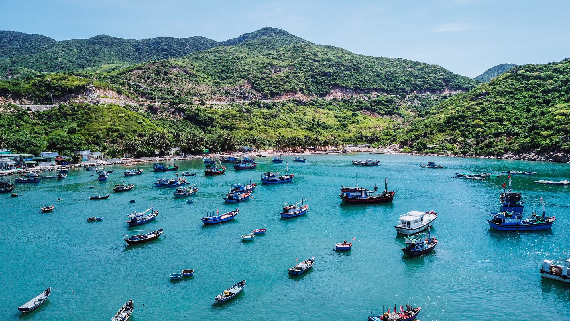 Vẻ đẹp Núi Chúa, nơi Ninh Thuận muốn xây khu nghỉ dưỡng cao cấp Vĩnh Hy - Ảnh 12. Vẻ đẹp Núi Chúa, nơi Ninh Thuận muốn xây khu nghỉ dưỡng cao cấp Vĩnh Hy - Ảnh 12.