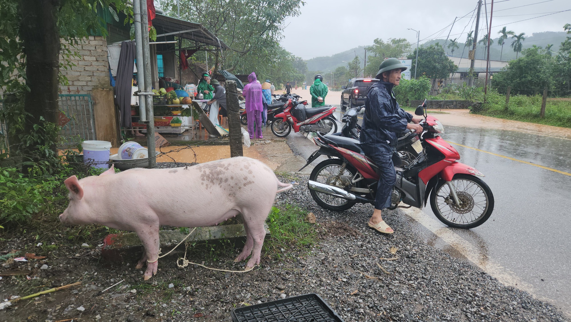 Hà Tĩnh: Quốc lộ 15 A biến 'thành sông' do mưa lớn, nhiều nhà dân ngập sâu - Ảnh 6.