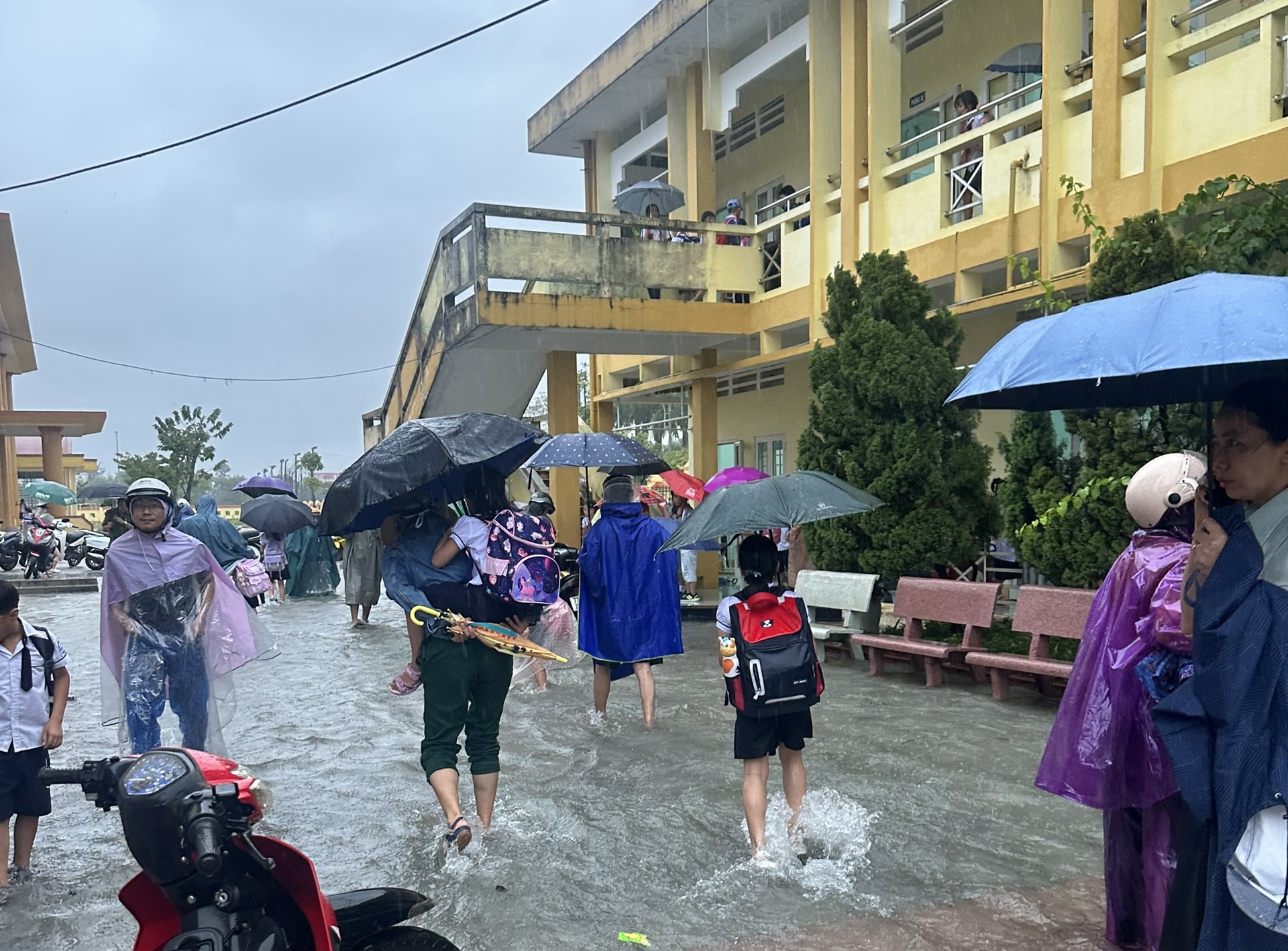 Quảng Bình: Lụt bất ngờ, phụ huynh nháo nhào đến trường, cõng con lội nước ra về - Ảnh 3.
