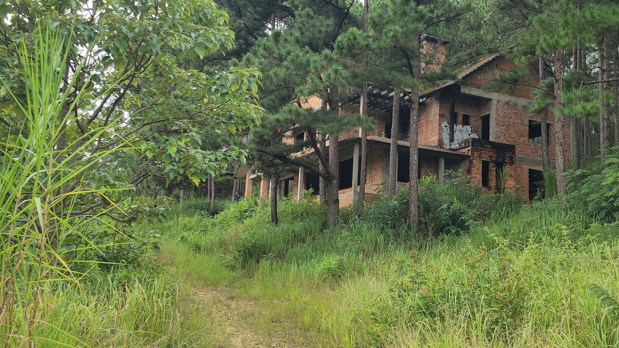 Cận cảnh khu biệt thự hoang trong Khu du lịch quốc gia hồ Tuyền Lâm Đà Lạt - Ảnh 11.