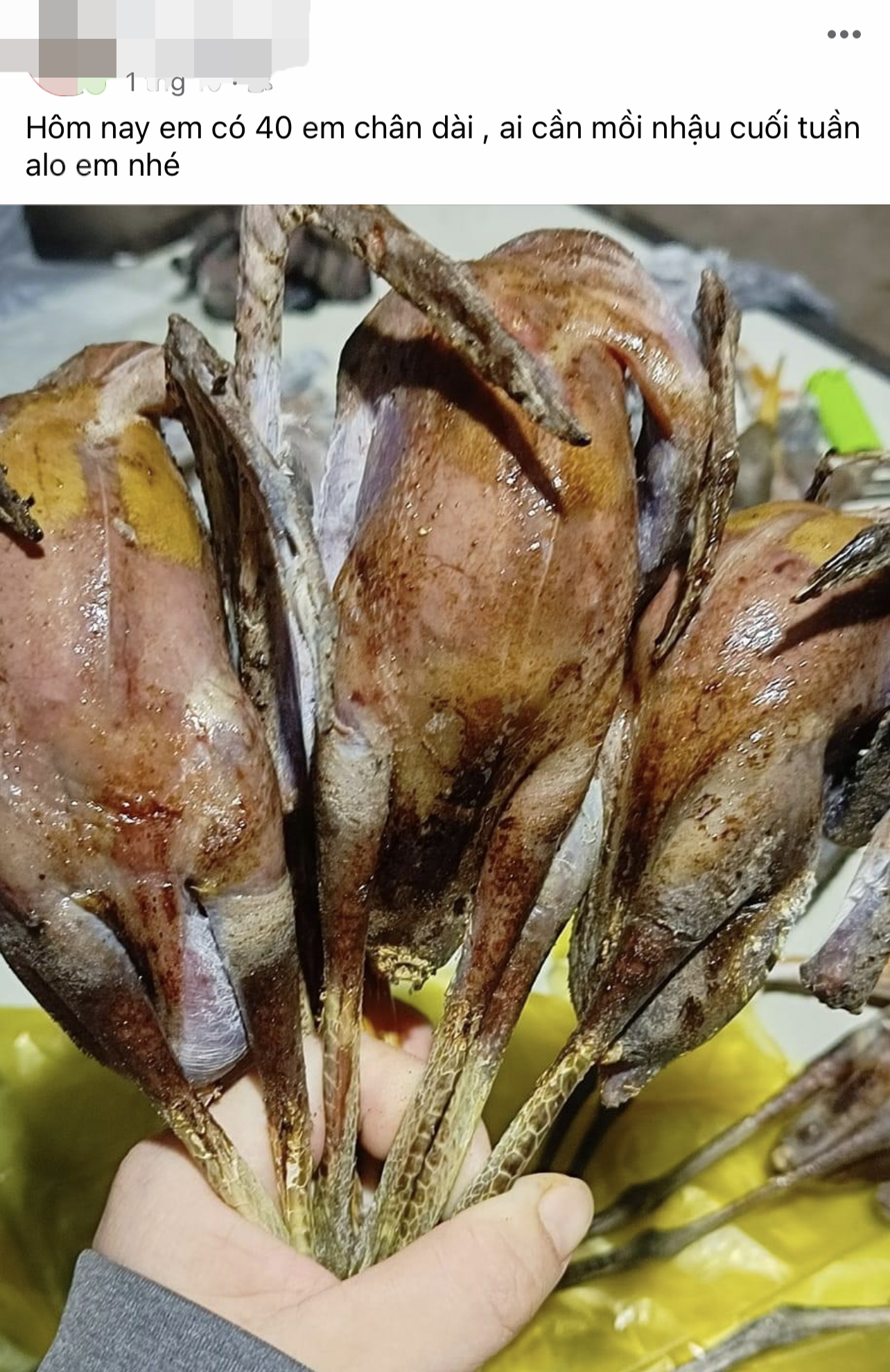 Thừa Thiên – Huế: Thịt chim trời được rao bán trên mạng, ngoài phố  - Ảnh 2.