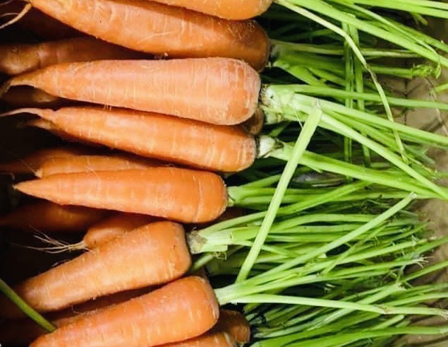 Ăn nhiều cà rốt có gây vàng da? - Ảnh 2. Ăn nhiều cà rốt có gây vàng da? - Ảnh 2.