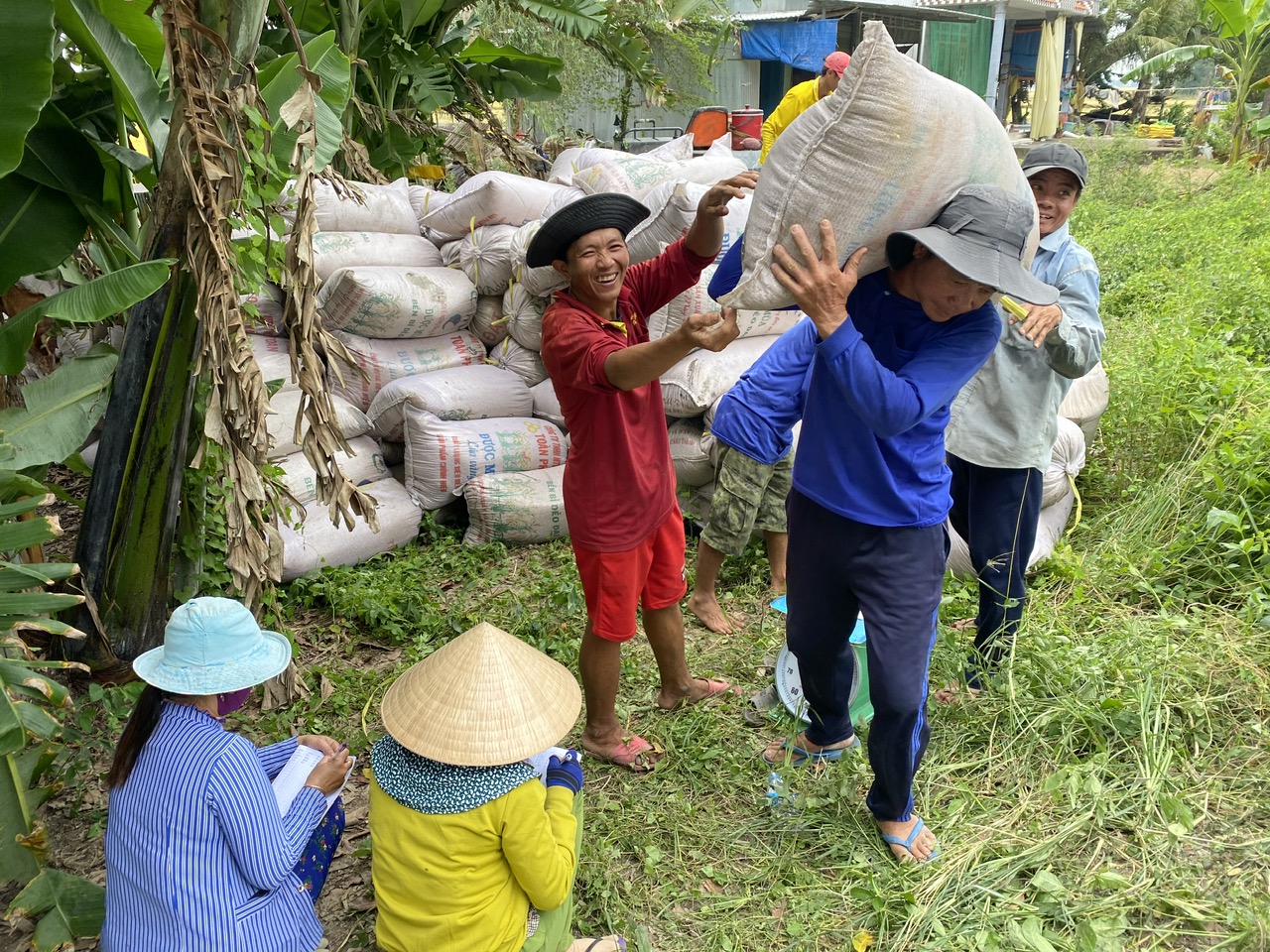 ทำไมราคาข้าวไทยถึงขึ้นต่อเนื่องแต่ข้าวเวียดนามไม่เปลี่ยนแปลง?  -ภาพที่ 1