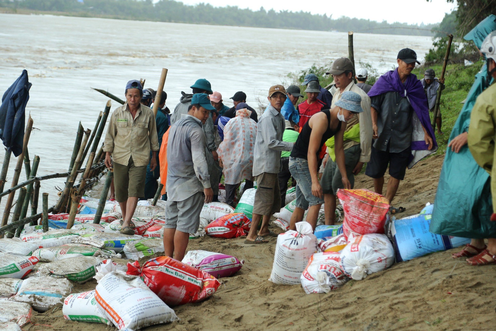 Quảng Nam: Sạt lở nghiêm trọng, cả làng đội mưa ‘vá’ lại bờ sông Vu Gia  - Ảnh 7.