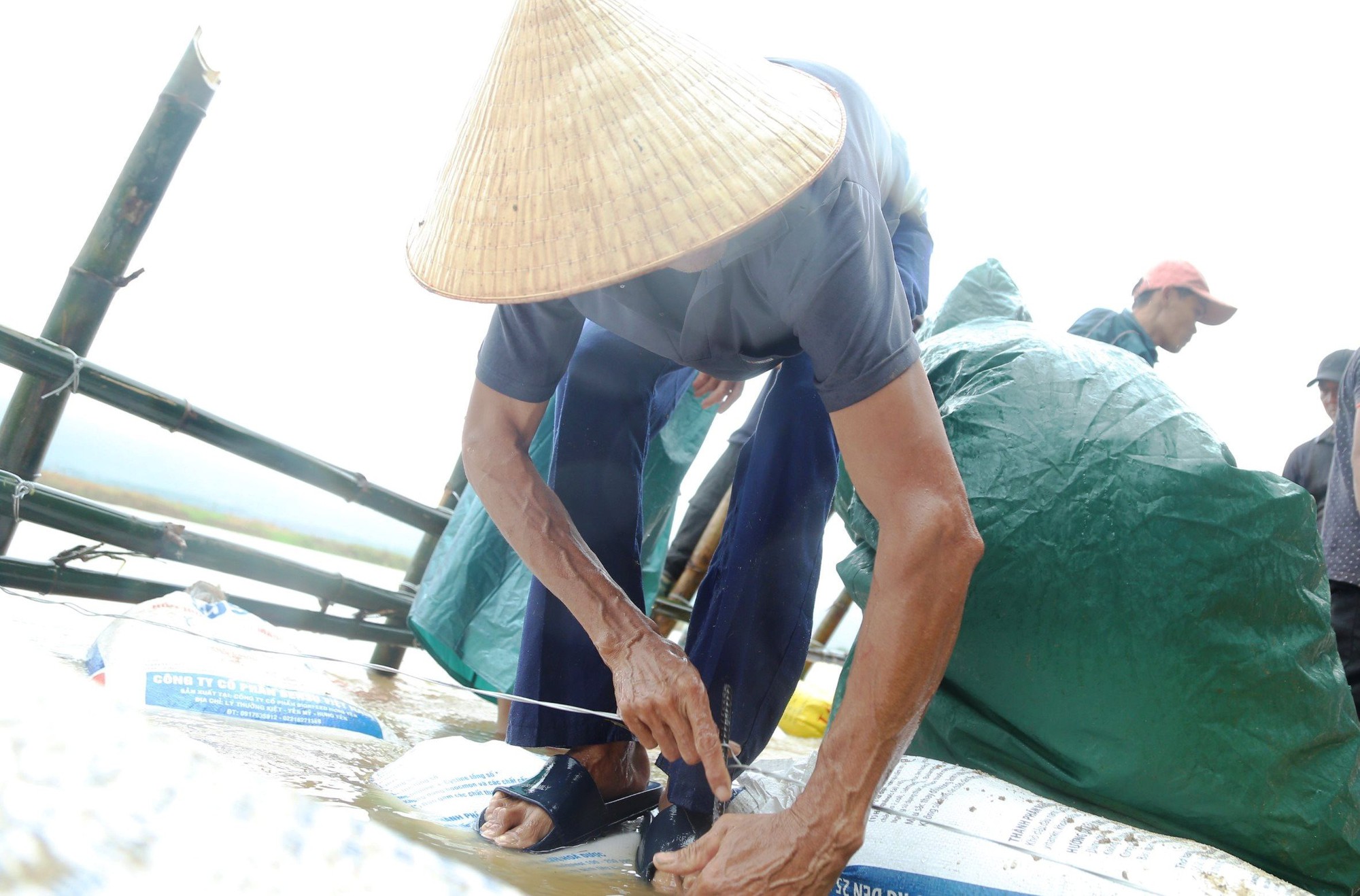 Quảng Nam: Sạt lở nghiêm trọng, cả làng đội mưa ‘vá’ lại bờ sông Vu Gia  - Ảnh 8.