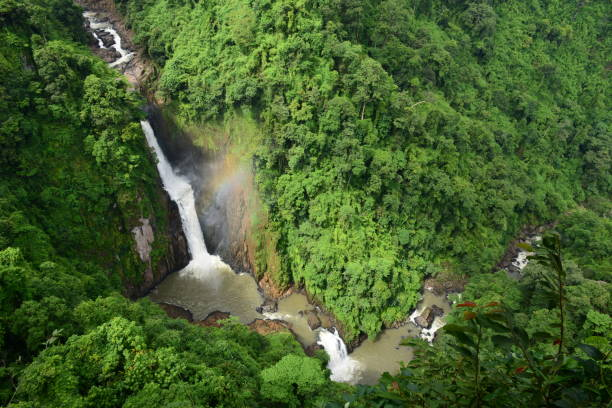 Hành trình khám phá thiên đường hoang dã tại vườn quốc gia Khao Yai  - Ảnh 2.