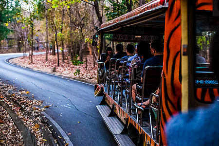 Vườn thú Chiang Mai: Cuộc sống hoang dã trong lòng phố núi - Ảnh 5.