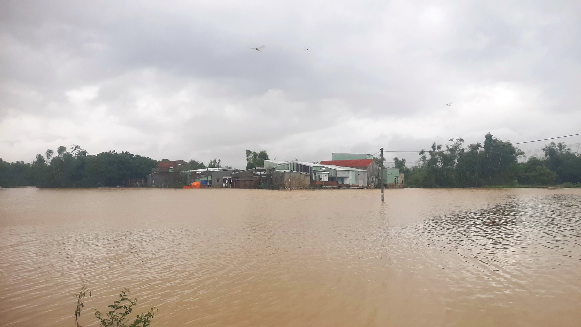 Bình Định: Ngập lụt ở hạ lưu sông Côn, nhiều tuyến đường bị chia cắt - Ảnh 3.