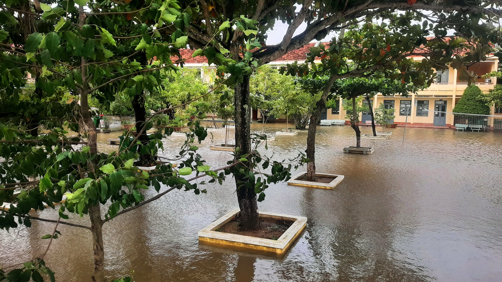Bình Định: Ngập lụt ở hạ lưu sông Côn, nhiều tuyến đường bị chia cắt - Ảnh 2.