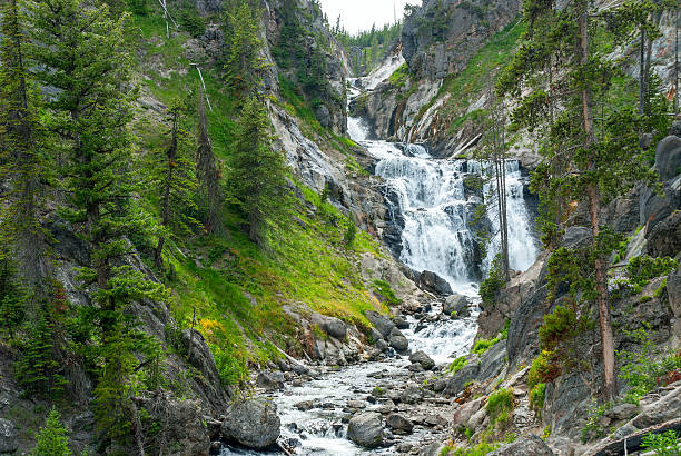 Khám phá vườn quốc gia Yellowstone: Di sản thiên nhiên kỳ diệu của Mỹ  - Ảnh 4.