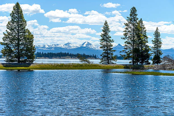 Khám phá vườn quốc gia Yellowstone: Di sản thiên nhiên kỳ diệu của Mỹ  - Ảnh 5.