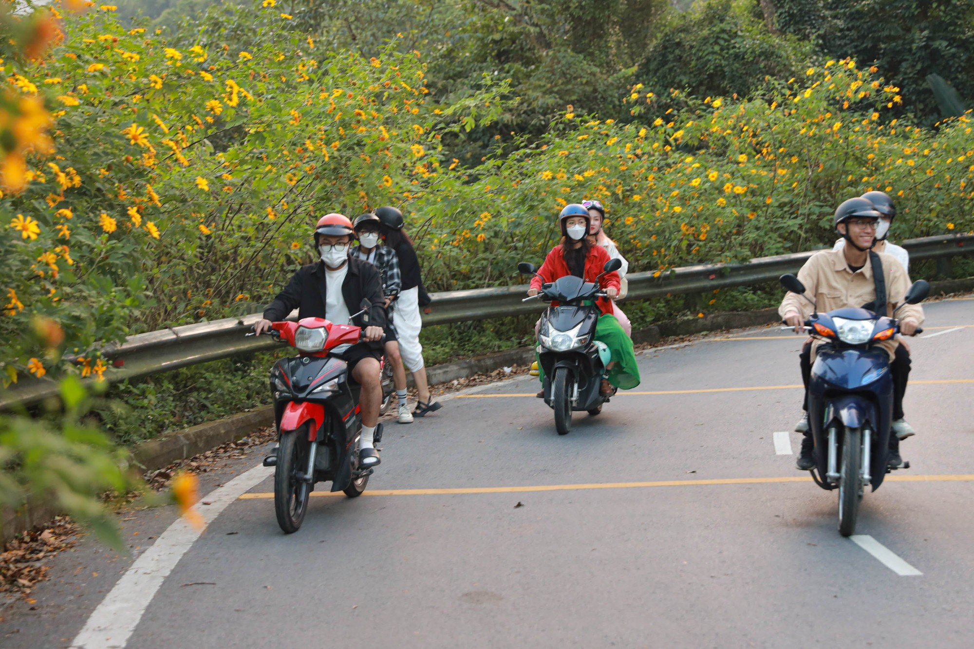 Hoa dã quỳ vào mùa nở rộ, giới trẻ vượt 100 km đến check-in - Ảnh 4.