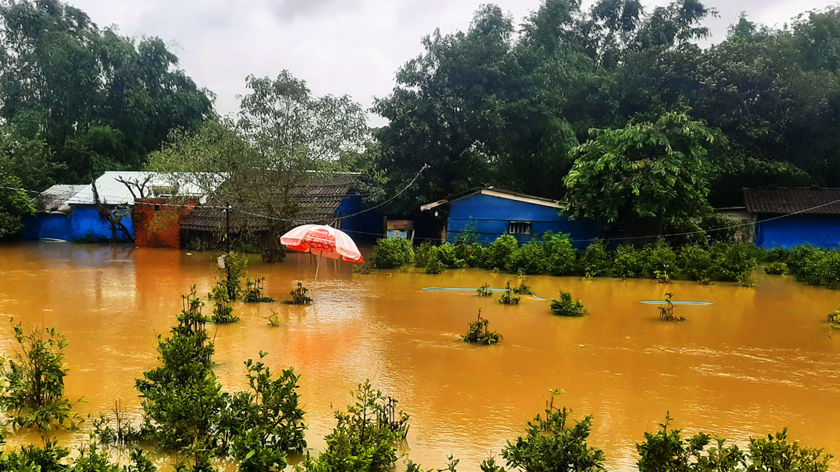 Bình Định: Nhiều trường phải dừng kỷ niệm ngày Nhà giáo Việt Nam vì mưa lũ - Ảnh 2.