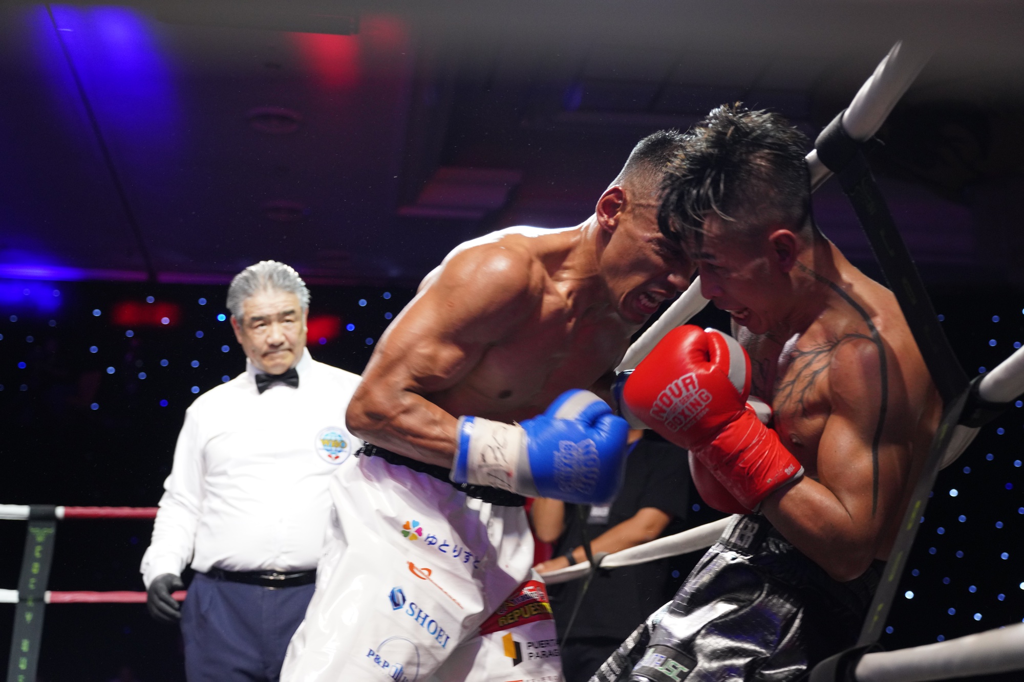 Trần Văn Thảo giành chiến thắng kịch tính trước võ sĩ người Mexico tại sự kiện WBO - Ảnh 1. Trần Văn Thảo giành chiến thắng kịch tính trước võ sĩ người Mexico tại sự kiện WBO - Ảnh 1.