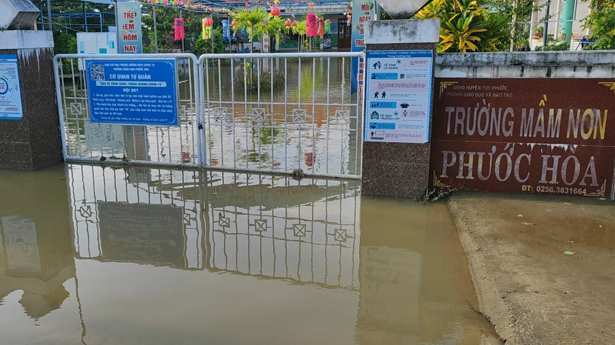 Bình Định: Nhiều trường phải dừng kỷ niệm ngày Nhà giáo Việt Nam vì mưa lũ - Ảnh 5.