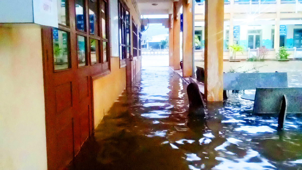 Bình Định: Nhiều trường phải dừng kỷ niệm ngày Nhà giáo Việt Nam vì mưa lũ - Ảnh 7.