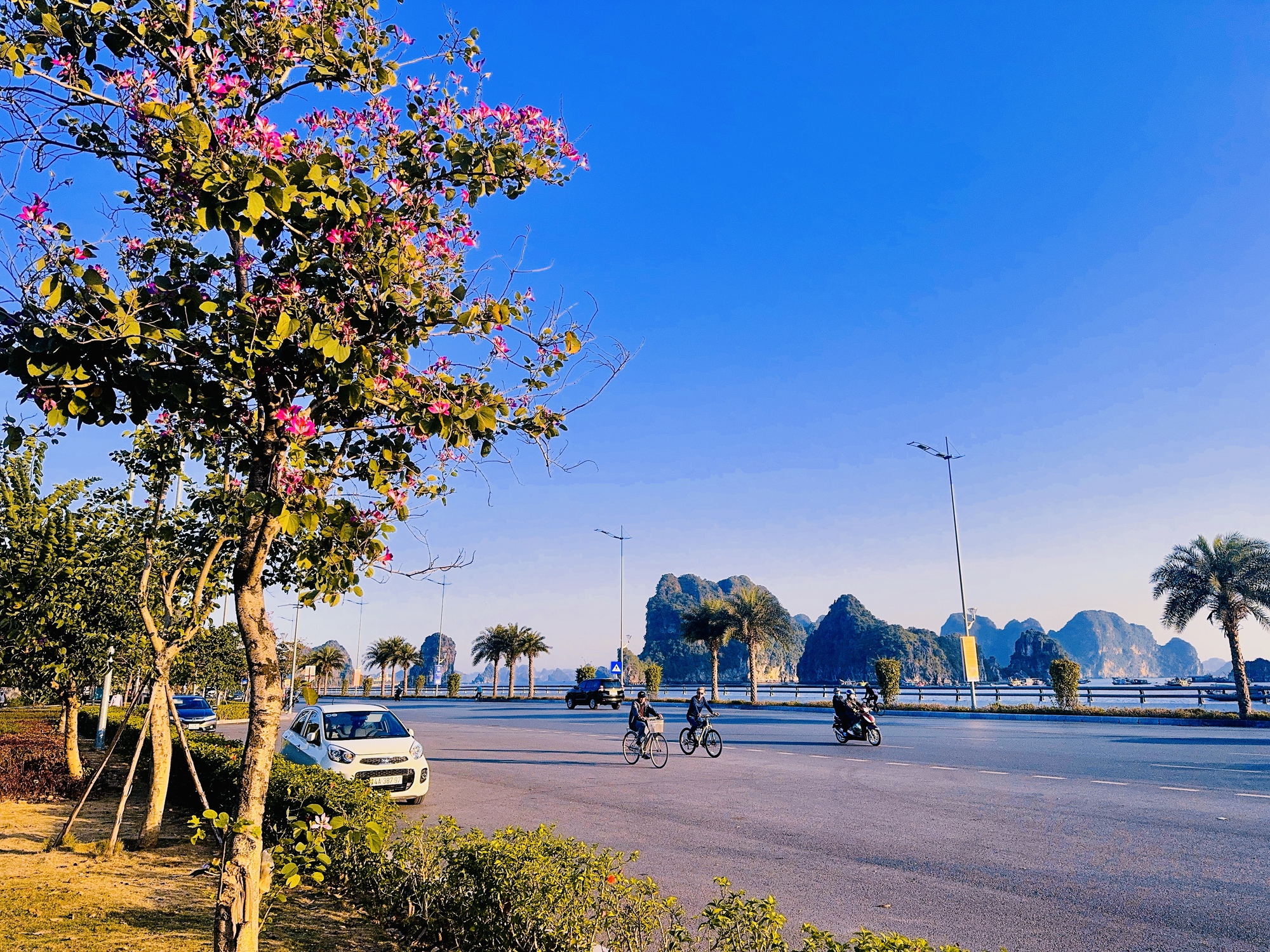 Có một công viên đẹp xiêu lòng bên bờ Di sản vịnh Hạ Long - Ảnh 4. Có một công viên đẹp xiêu lòng bên bờ Di sản vịnh Hạ Long - Ảnh 4.